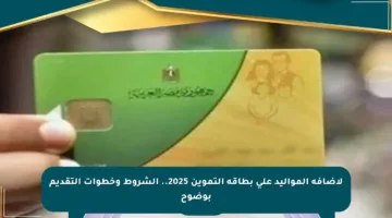 لإضافة المواليد على بطاقة التموين 2025.. الشروط وخطوات التقديم بوضوح